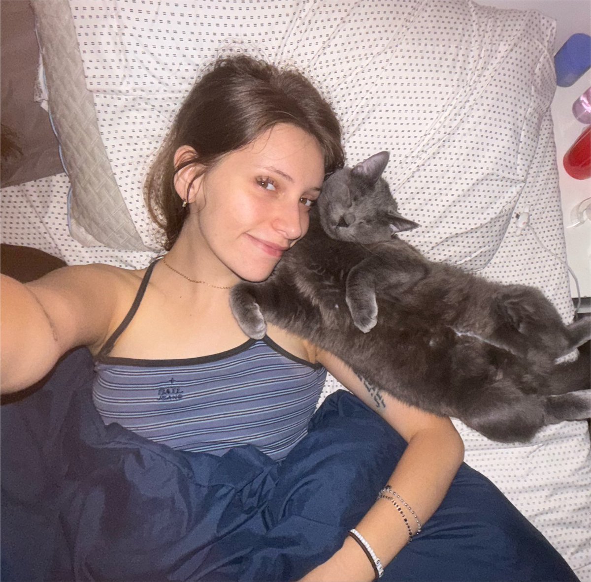 afterglowflor's tweet photo. POV: sos el humano favorito de un gato https://t.co/aPepu4IDqZ