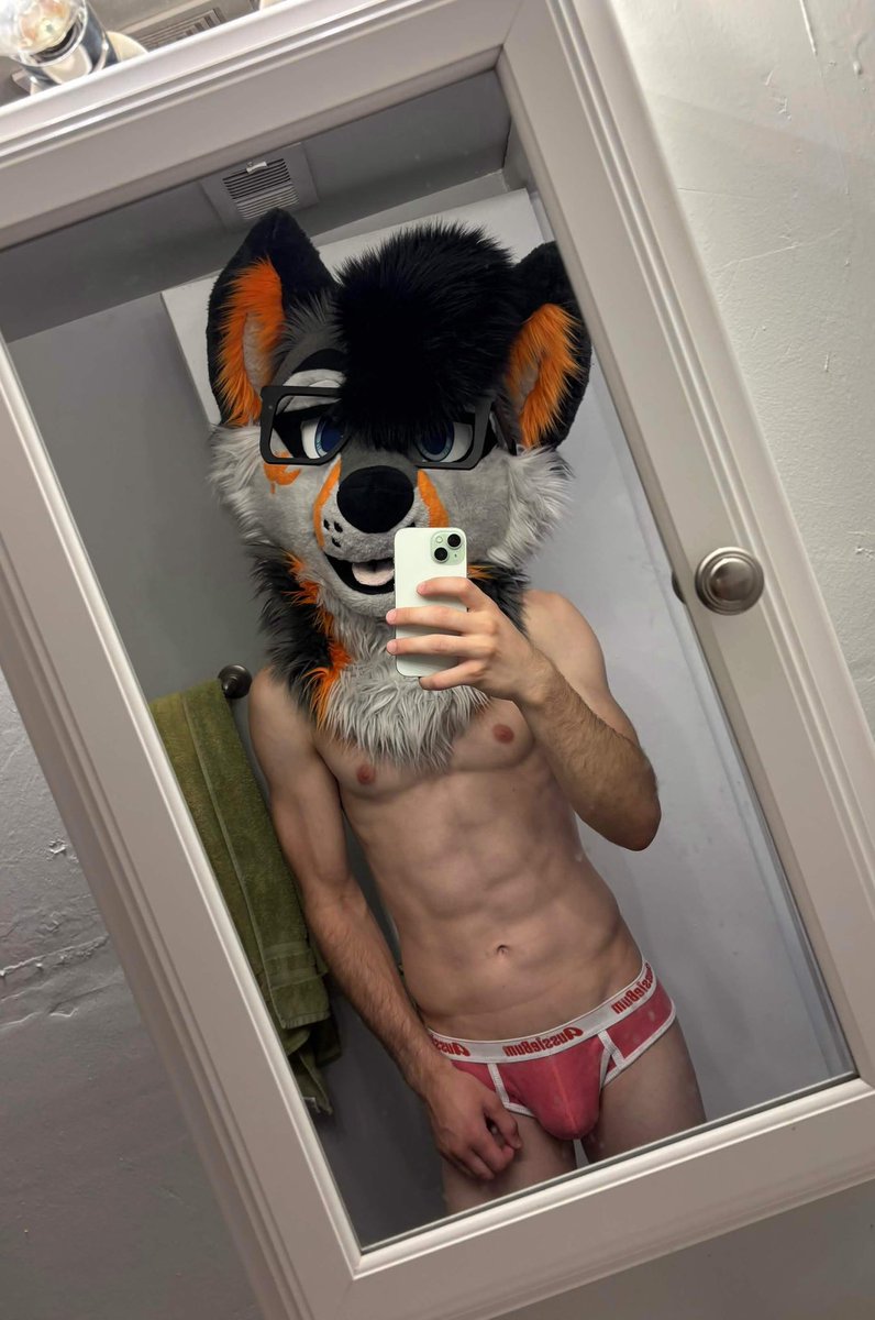 Meowfurshot tweet picture