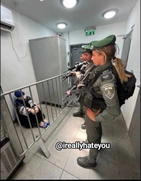 Abu_Salah9's tweet photo. صورة قاسية لسيدة فلسطينية بين قطيع من الإرهابيين. https://t.co/i2UWjJ4Vp5