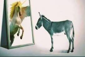 SpvmSpvmnxs0's tweet photo. @Om_mayeed وضعكم بكل اختصار 😂😂😂😂😂😂 https://t.co/lSHXPaBEbt