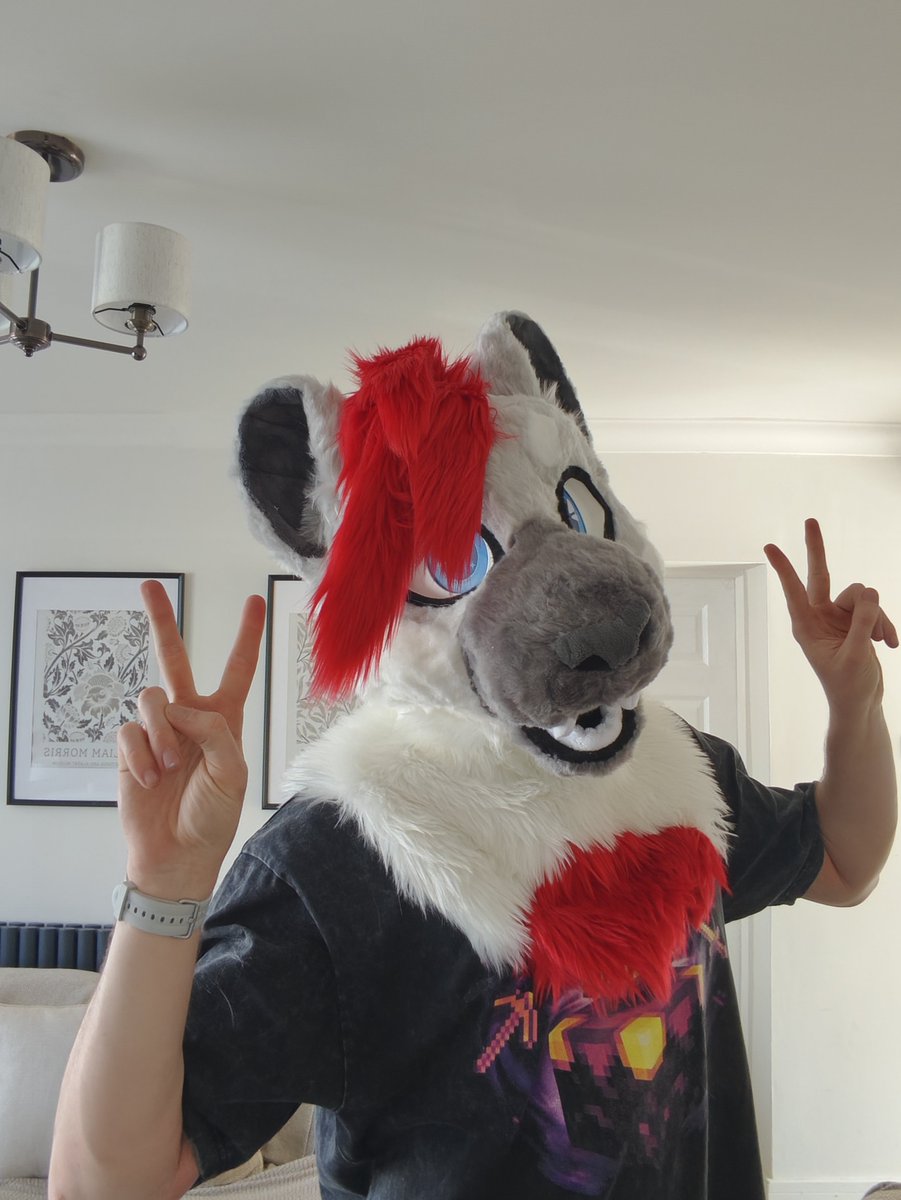 JakkoSnep's tweet photo. HE'S HERE!!!
The snep is real! He was made by the lovely @HoneysucklezUK 
Best part aswell... Still got the rest of his partial to come!

#furry #fursuit #snowleopard https://t.co/kq2Rg27A0N
