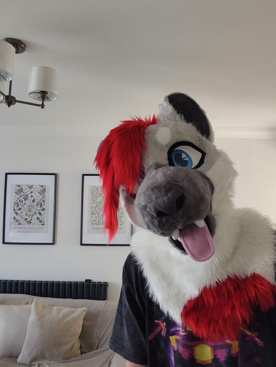JakkoSnep's tweet photo. HE'S HERE!!!
The snep is real! He was made by the lovely @HoneysucklezUK 
Best part aswell... Still got the rest of his partial to come!

#furry #fursuit #snowleopard https://t.co/kq2Rg27A0N