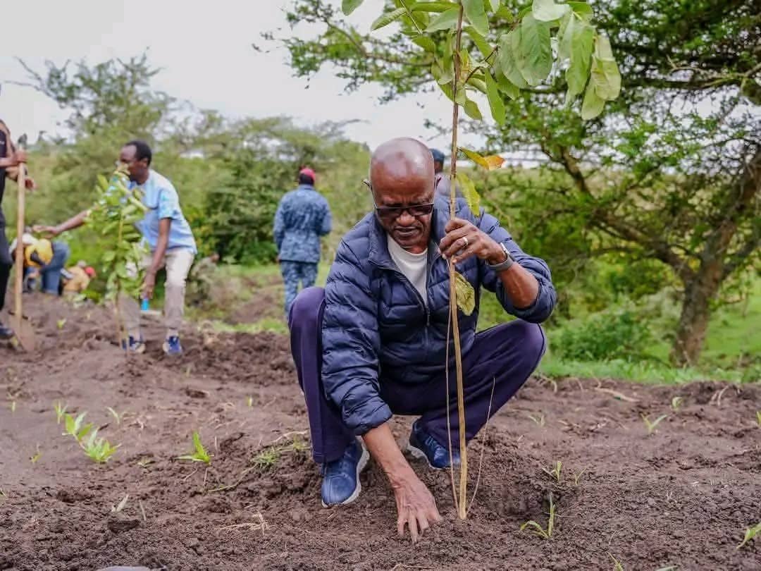 SMHaderaAbera's tweet photo. Sat 1 August 2026, Bishoftu 
Honored to participate in this year's Green Legacy Initiative in Bishoftu alongside our Honorable Minister, esteemed Ambassadors from neighboring countries, and colleagues from the Ministry of Foreign Affairs and its affiliated institutions.

Planting 4,063 fruit-bearing seedlings is more than an environmental activity; it is an investment in a greener future, stronger food security, and a lasting legacy for generations to come. 

Together, we reaffirm Ethiopia's commitment to sustainable development and collective climate action through meaningful partnerships.