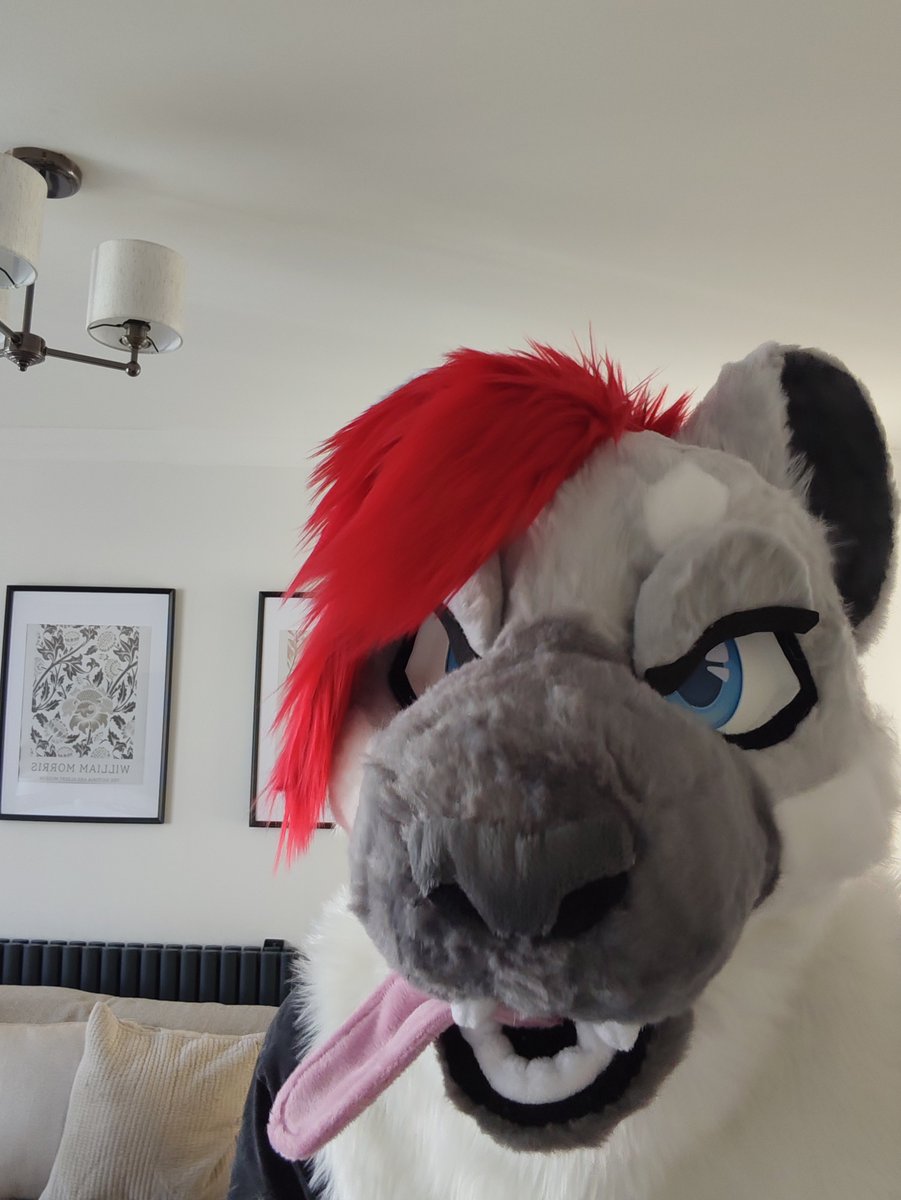 JakkoSnep's tweet photo. HE'S HERE!!!
The snep is real! He was made by the lovely @HoneysucklezUK 
Best part aswell... Still got the rest of his partial to come!

#furry #fursuit #snowleopard https://t.co/kq2Rg27A0N