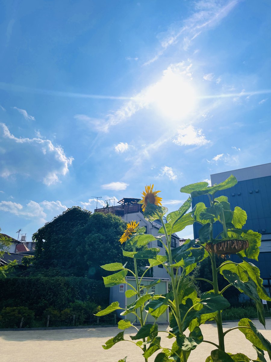 h1cat_28's tweet photo. 2ヶ月
薄れることのない悲しさと虚無感
人があっという間にいなくなることと
涙が本当に枯れないことを痛感した日々だった

そろそろ頑張り直さねば

7月はrayを聴くたびに涙を堪えながら退勤したもんだ
あの時好きだった曲が何年も経ってまた今の自分を支えてくれているよ… https://t.co/TVaZODrKiH