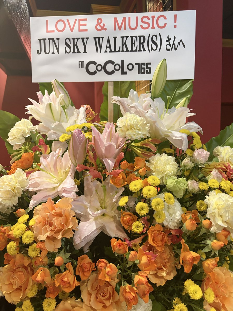 kametal's tweet photo. JUN SKY WALKER(S) (完売)
ジュンスカのロックは
大音量でギターリフとリズムが
激しんやけど
和弥さんのボーカルが
抜けてくるんよね❣️
これ、凄いことやと思うし
だからこそバラードも沁みるんよね🥰
まさにライブバントやなぁ😃
相変わらず#森純太 くんの
マーシャルはええ音やなぁ🤘
#ジュンスカ https://t.co/qDQjjvnScQ