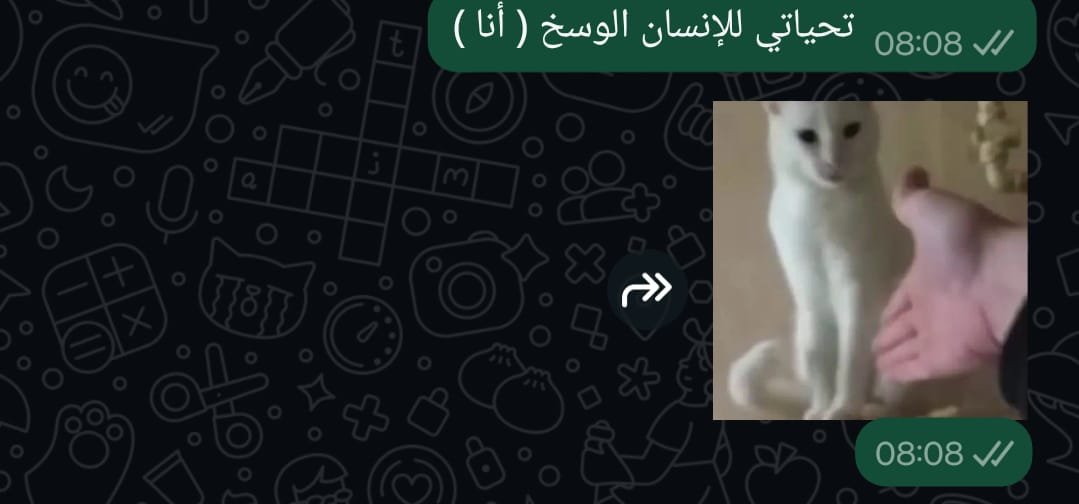 catoloverrr's tweet photo. ماشية باخد أي حد على قد عقله لحد ما الصيف يخلص https://t.co/mCOPTy3lrB