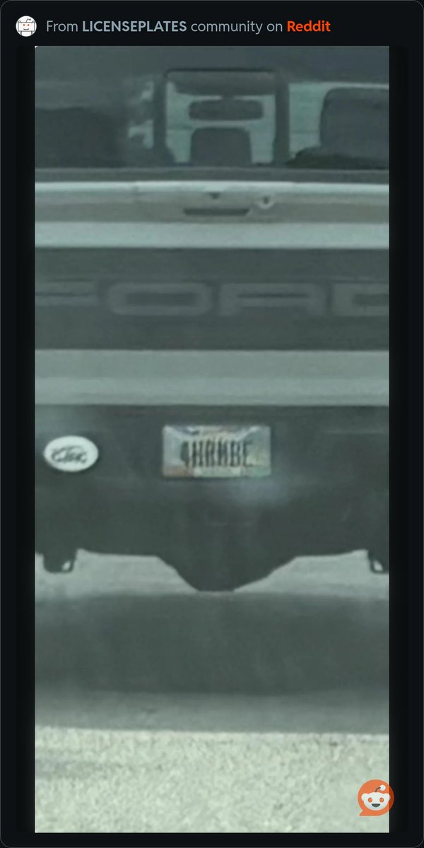 smitty_one_each's tweet photo. #Harambe https://t.co/AYUv9aTjM4