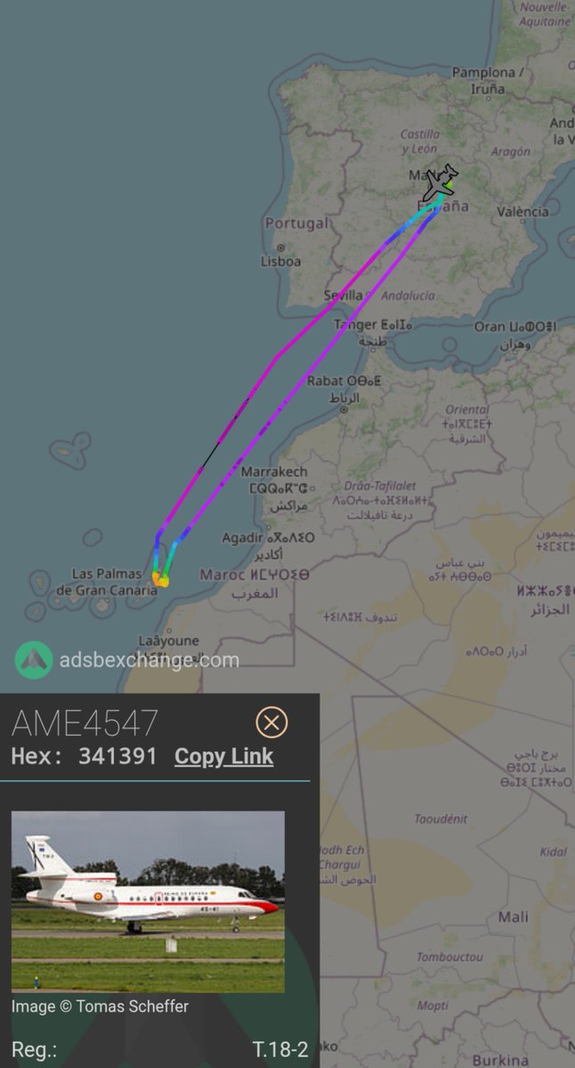 SpainMilRadar tweet media