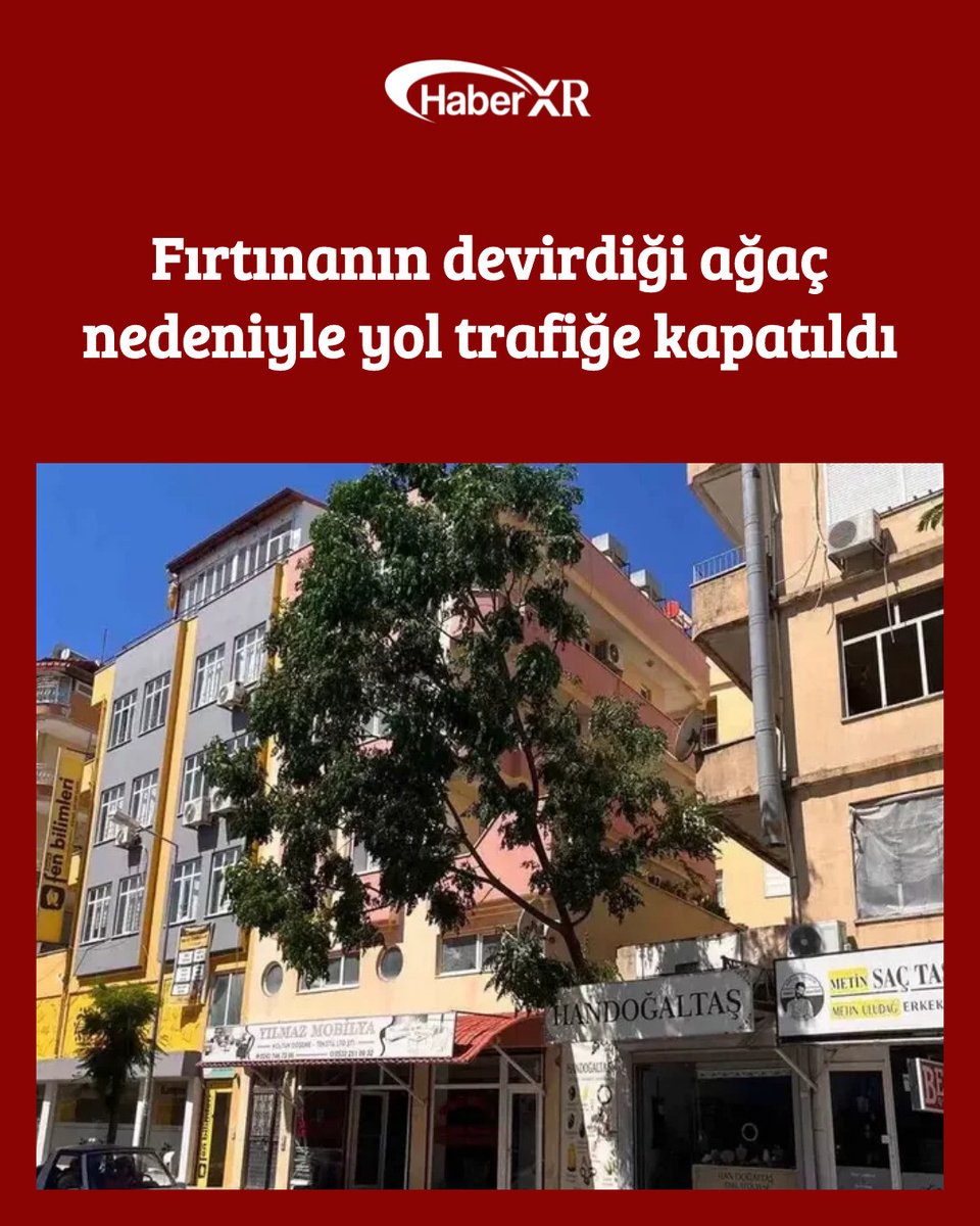 haberxr's tweet photo. Fırtınanın devirdiği ağaç nedeniyle yol trafiğe kapatıldı ---Detaylar Profildeki LİNKTE https://t.co/8TxAkclEoa