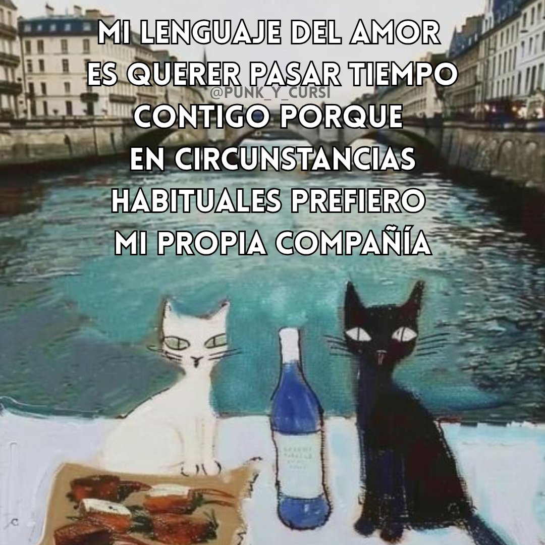 punk_y_cursi's tweet photo. 🐈‍⬛🐈‍⬛🐈‍⬛🐈‍⬛ https://t.co/Cite66aTOX