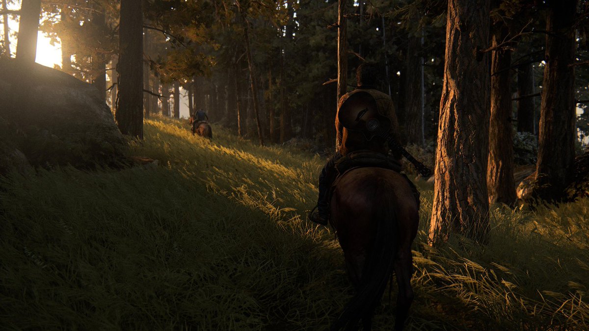 PMStudioX's tweet photo. Forest trail
.
.
.
#thelastofus #tlou #photo #photomode #tlou2 https://t.co/NKr0fo2B1E