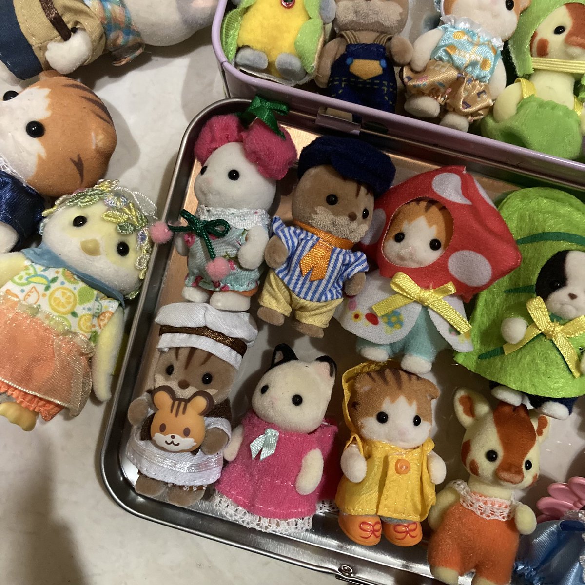 saloafqt's tweet photo. ❤️🧡💛💚💙 https://t.co/1d80qu4KN3