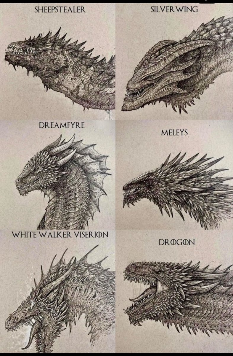 Blonddieee_'s tweet photo. All the Dragons in the Game of Thrones Universe https://t.co/3xK1eMX09o
