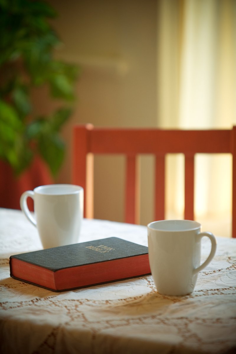 Rose1336995's tweet photo. Chilled afternoon, warm tea, and a good book—perfect little moments to recharge ， https://t.co/8UYv68HKzd