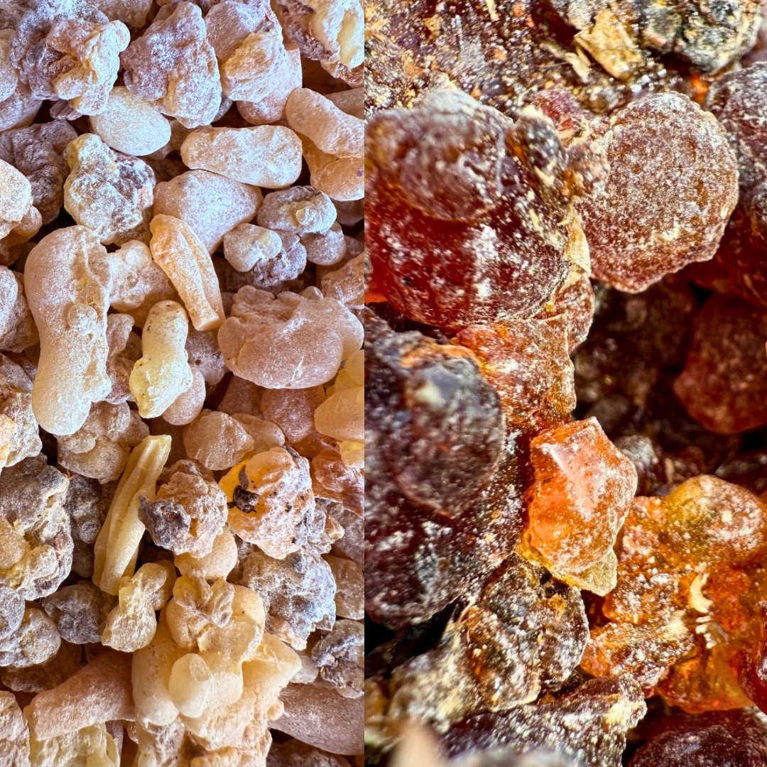lowmegatron's tweet photo. “Frankincense and myrrh contain lots of anti-inflammatory substances, probably anti-cancer effects, some steroid-like molecules, not so different from testosterone and progesterone. They seem to have an anti-inflammatory, anti-proliferation effect on cancer cells.” — Ray Peat

https://t.co/X7nJLVFWNM
