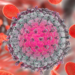 IDSE_Online's tweet photo. From bedside treatment to mobile clinics, innovative care models are expanding access to hepatitis C testing and treatment.
Learn more: https://t.co/kEwFiGTkkW
#HepatitisC #WorldHepatitisDay https://t.co/XErJbpchVN