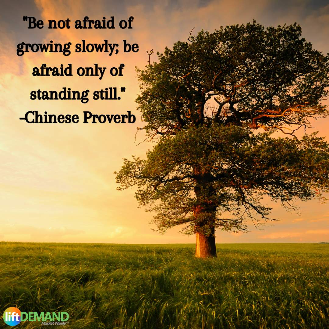 liftDEMAND's tweet photo. "Be not afraid of growing slowly; be afraid only of standing still." - Chinese Proverb #Resistance #Growth #Iwillnotbeafraid #Move #OneStepAtATime #QOTD https://t.co/XSfLTg8QWw