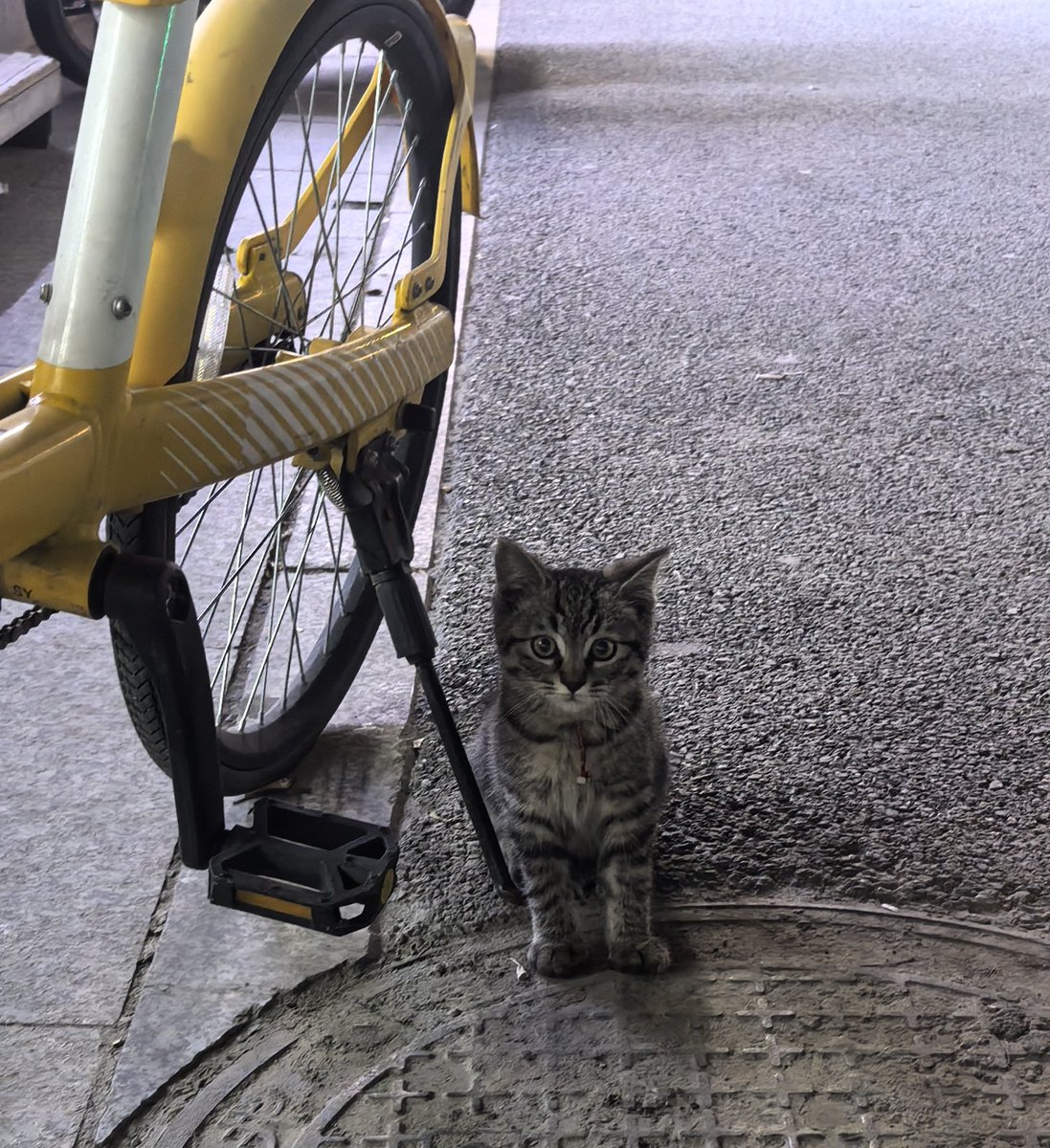 ong372619's tweet photo. https://t.co/Px2vohXUBr