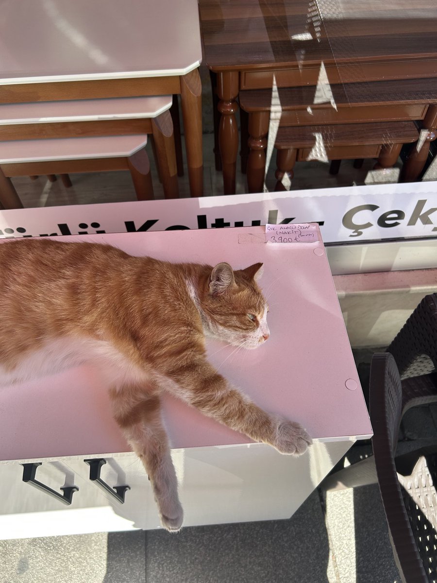 dileksrb's tweet photo. Fırsat ürünleri https://t.co/NZQzO7Sx2w