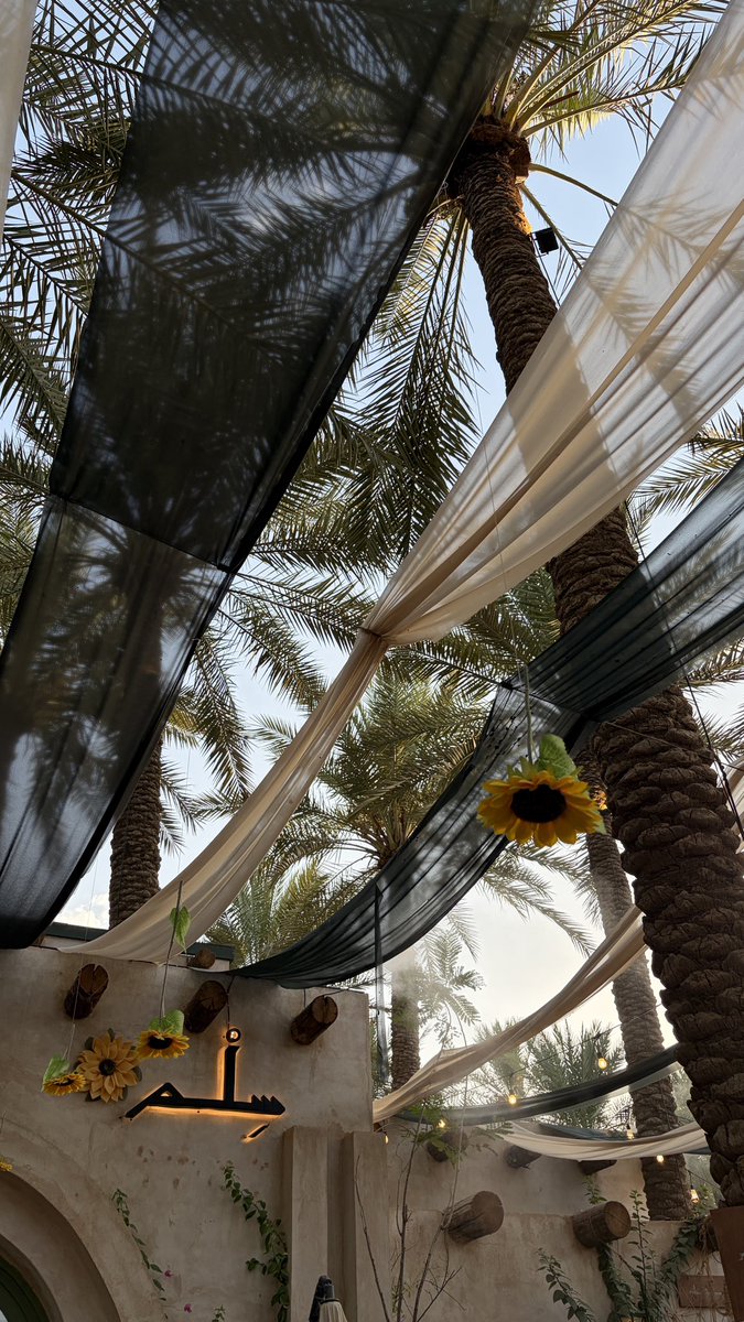 j4dkn's tweet photo. 🌴☀️❤️
منظررررررر شاعررررري جداً جداً https://t.co/TdtW1GaWMU