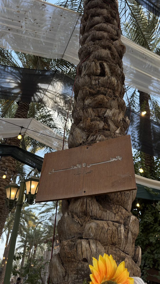 j4dkn's tweet photo. 🌴☀️❤️
منظررررررر شاعررررري جداً جداً https://t.co/TdtW1GaWMU