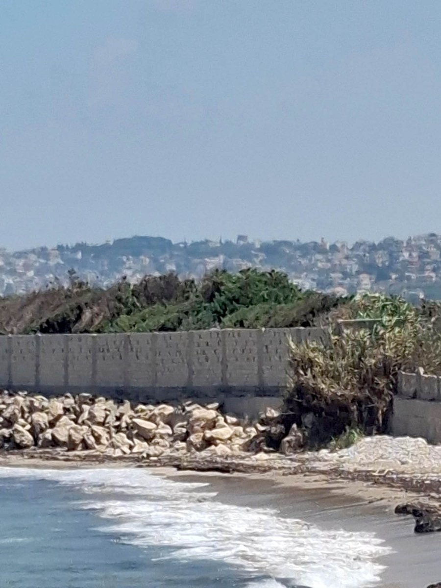 MoaLebanon's tweet photo. بتوجيهات #وزير_الزراعة الدكتور نزار هاني دوريات مشتركة بين #وزارة_الزراعة ومفرزة شواطئ الجنوب لمكافحة الصيد بالديناميت على شاطئ عدلون وتشديد الرقابة...
#الزراعة_نبض_الأرض_والحياة
يوتيوب:
https://t.co/qmZpE1WnI1
فيسبوك:
https://t.co/ZpfXZI4YWF
موقع الوزارة:
https://t.co/CeIJAnr77I https://t.co/JLiim134k2