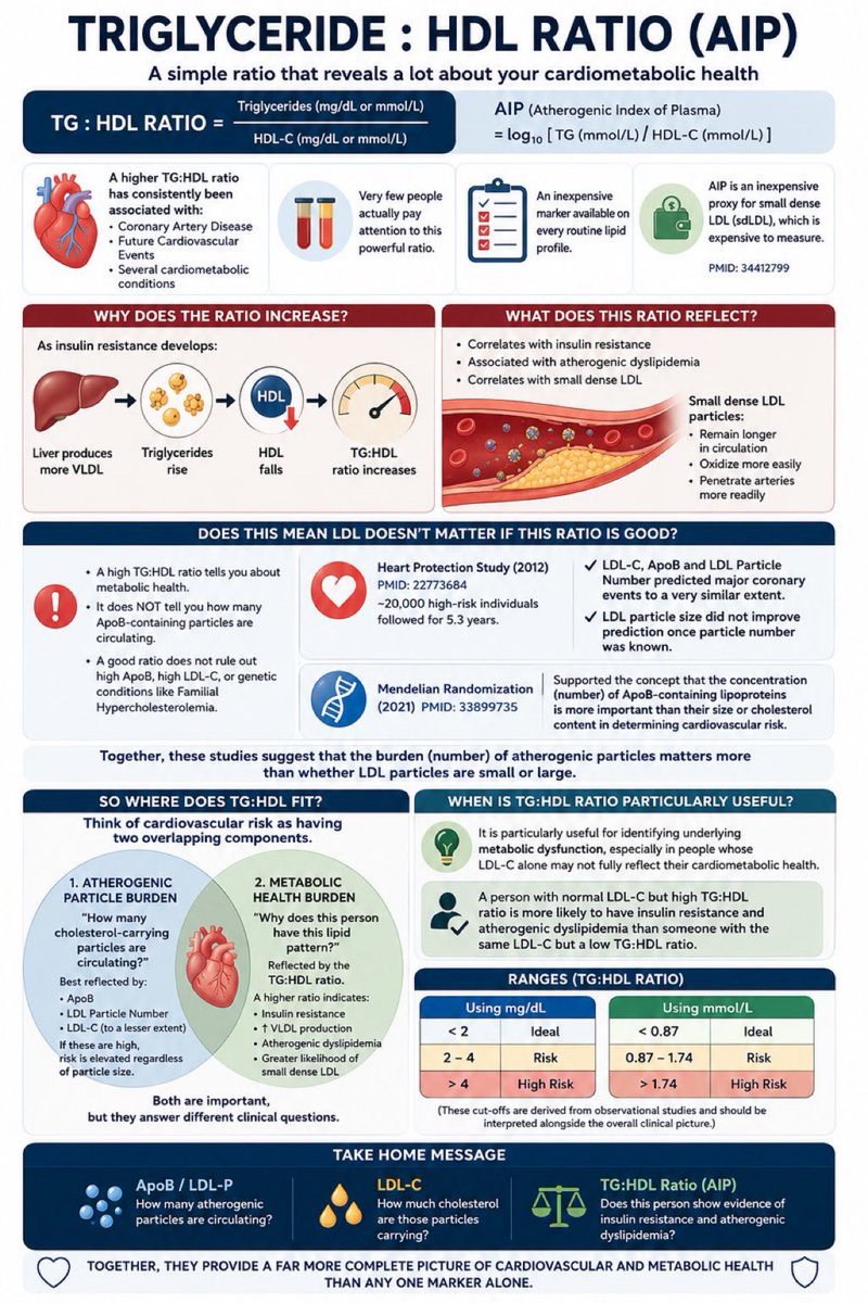 DrPharmDMDTh's tweet photo. Triglyceride-HDL Ratio https://t.co/NokvFT7w8g