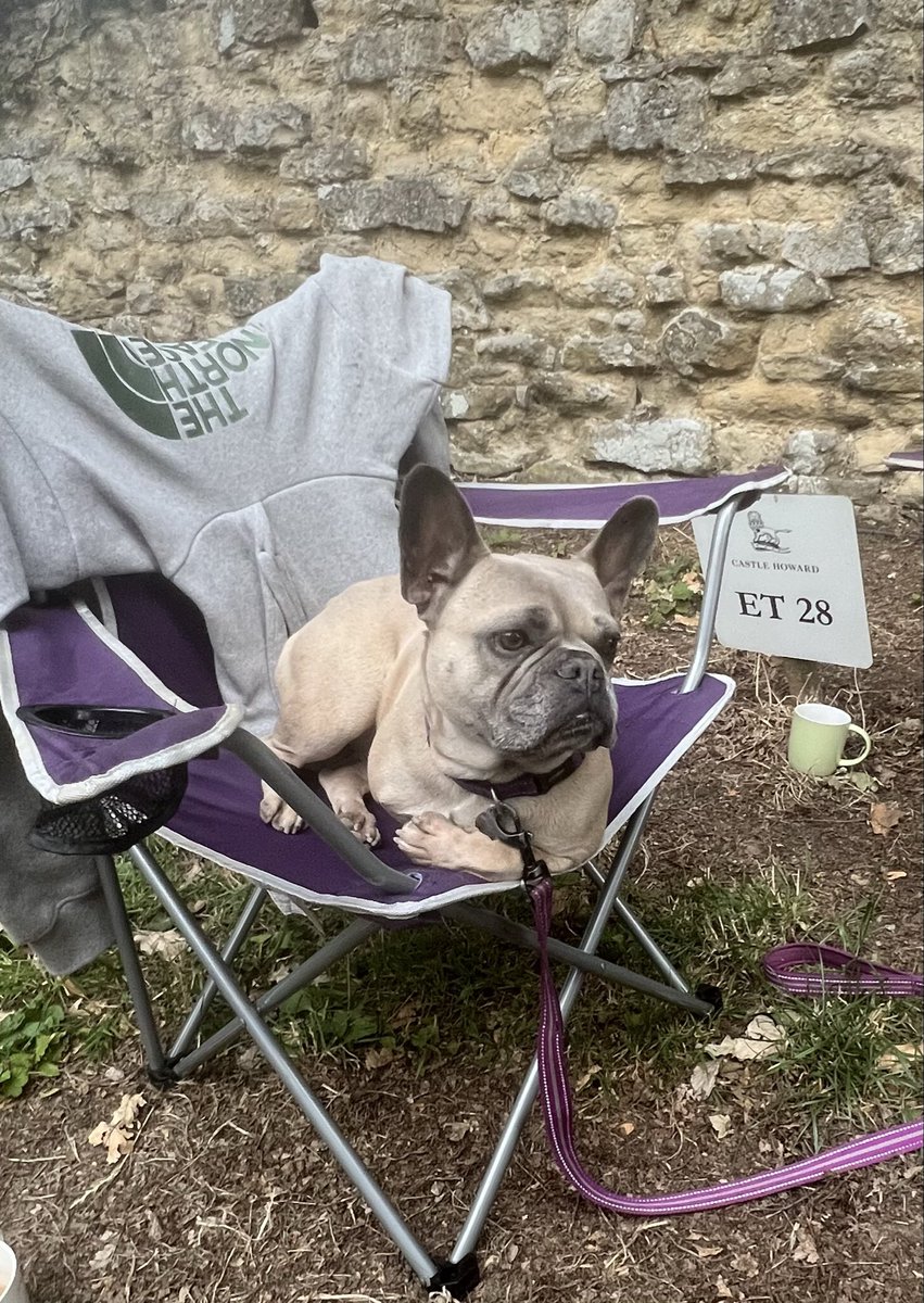 Water_melonGirl's tweet photo. @DailyPicTheme2 #FavouritePictureFromjuly First Motor Home Road Trip #VanLife #Frenchie #CastleHoward https://t.co/yYzh4pAVwQ