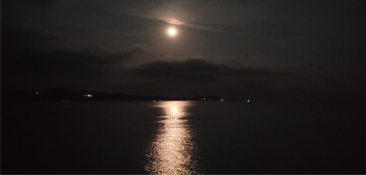 ma407719's tweet photo. moon path https://t.co/bMV2eTmkRn