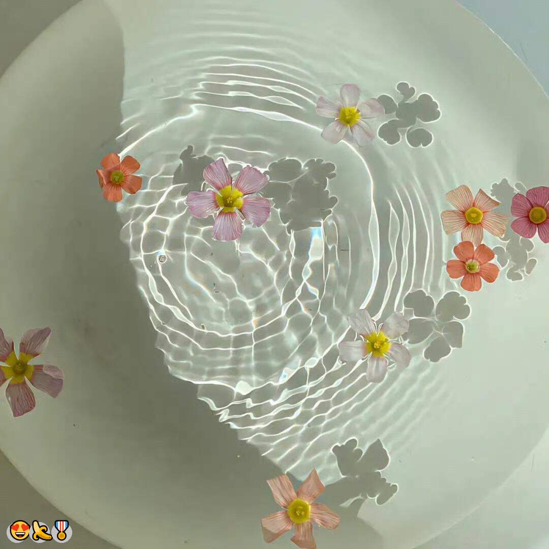 YeddaWoolf47862's tweet photo. 😁男M🤩护士😎校园💖捆绑🤩捆狗奴👏瑜伽裤🌸舔穴🙌语音做爱🤩色色🌸黑丝💫鸡巴套子😄油光丝🍀阿黑颜😎女王😆换妻🎊3P💪文援🔥自慰🥰日常大赛💕固聊

企鹅裙：1818089
飞机：zuoyi1v1
裸聊/连麦/文爱/调教/寸止 https://t.co/drW620tAfB