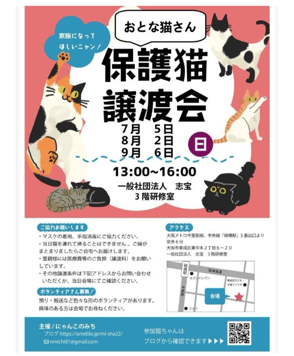 redcometkayo's tweet photo. 『にゃんこのみち』
#にゃんこのみち
#保護猫
#譲渡会
#里親
#大阪市東成区東中本2-6-20
#��橋駅
#アメブロ https://t.co/Ro1b1VlQyX https://t.co/DJLljmiFRC
