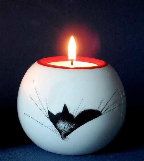 catgirl321's tweet photo. Please join me and light a candle for @PumaKingCat heartsore @MissSunnyMind Mom Sunny &amp; @cathound7 Dad Charles who carry Puma’s memory in their hearts forever❤️
Beloved Puma crossed #OTRB November 12 2013, just 2yrs old🌈🌟 #foreverlove #healingpurrspawty 
https://t.co/MfT1LOVzGI https://t.co/IfGs09wCcW