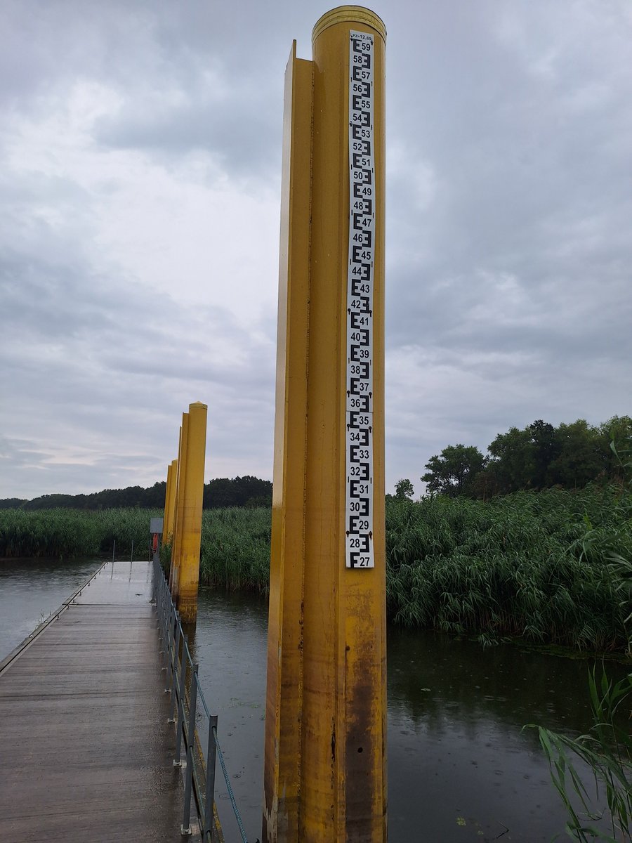Michu_1980's tweet photo. Hej @SZTABdlaODRYpl
coś te torfowiska @OdraRiver
nie pomagajo...

https://t.co/MHmXJ870MJ

Foto: Przystań Górzyca, 
km 604 #Odra https://t.co/tB97Riv2Rh