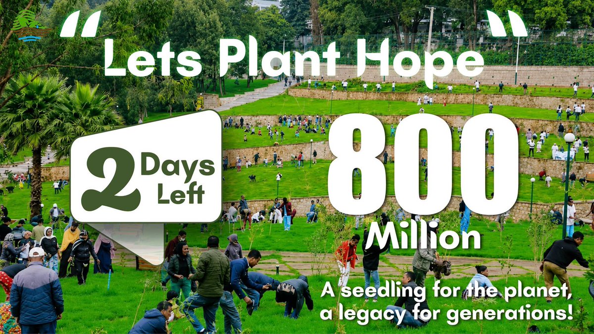 Esubalew_Ginbar's tweet photo. ๐ณ๐ช๐น๐ฑ 2 Days Left Until a Historic Green Day!
Ethiopia is counting down to its One-Day National Tree Planting Campaign on August 3, with a goal of planting 800 million seedlings in one day as part of the #GreenLegacy Initiative.
#GreenLegacy #Ethiopia #PantHope https://t.co/SwxKL0iRo5