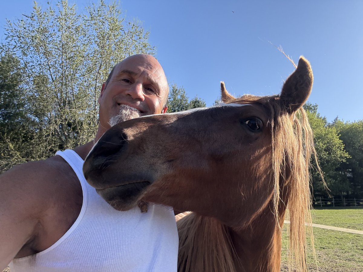 Pete Najarian tweet media