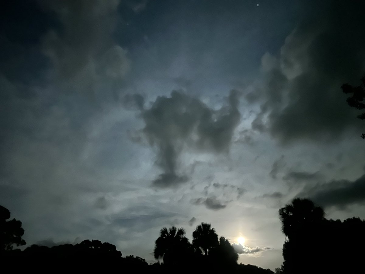 lostinyoualways's tweet photo. Moonrise https://t.co/W0x8yB1b36