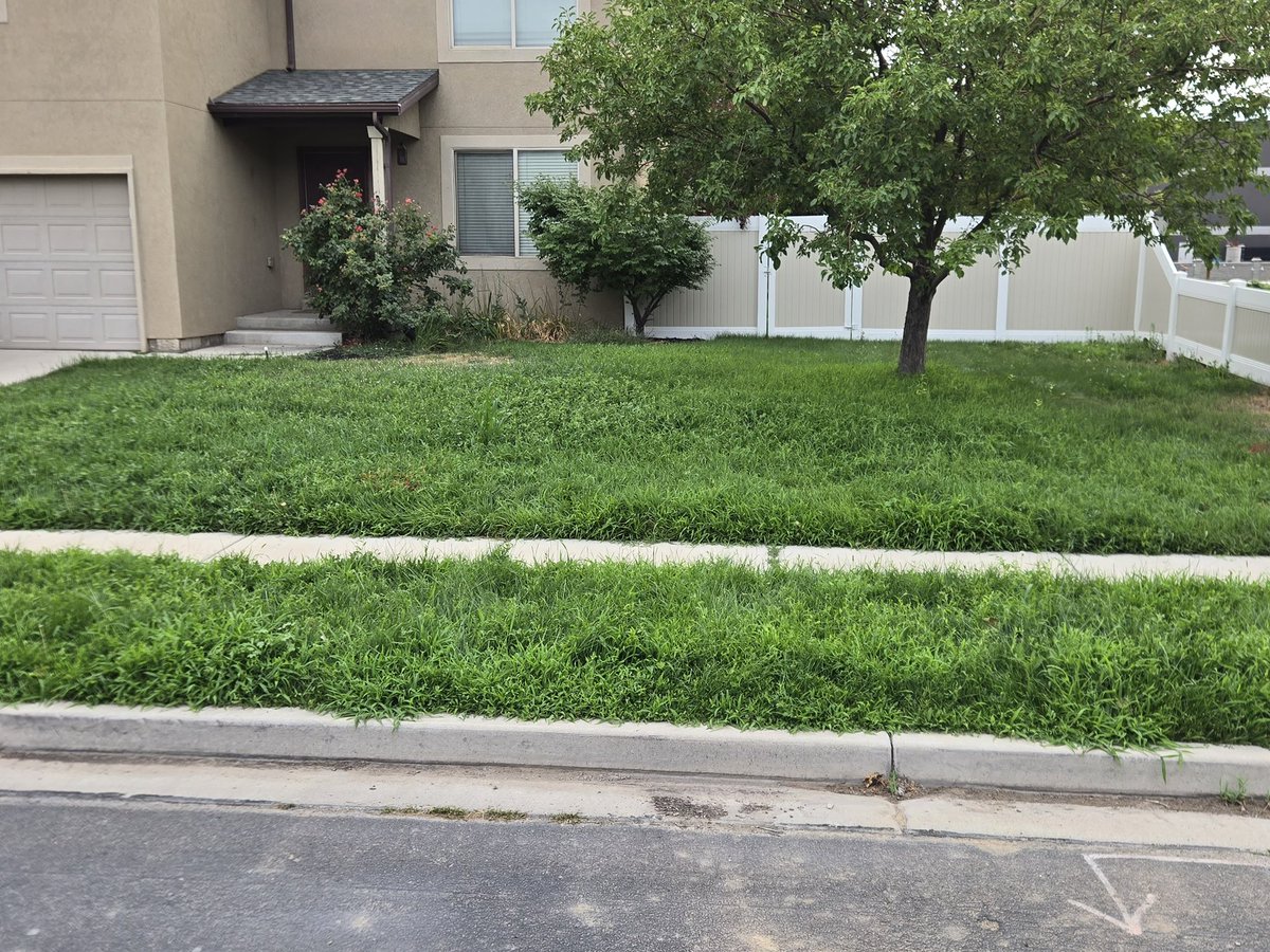 iamrodneysmith's tweet photo. Maverik of  Lindon, UT who is taking part in our 50 yard challenge mowed his 12th lawn. Nice work !! https://t.co/qiNhj4py1v