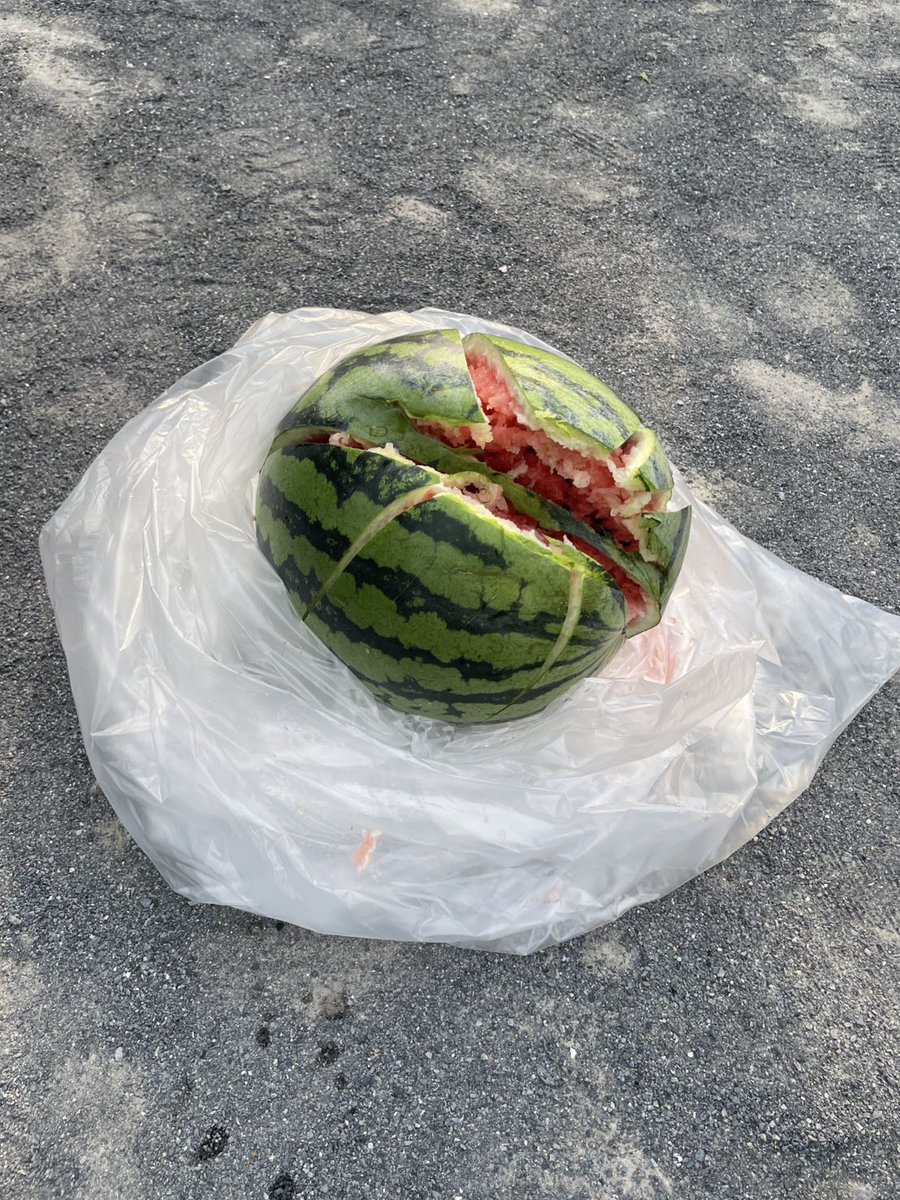potato600g's tweet photo. https://t.co/sp6WScBePC