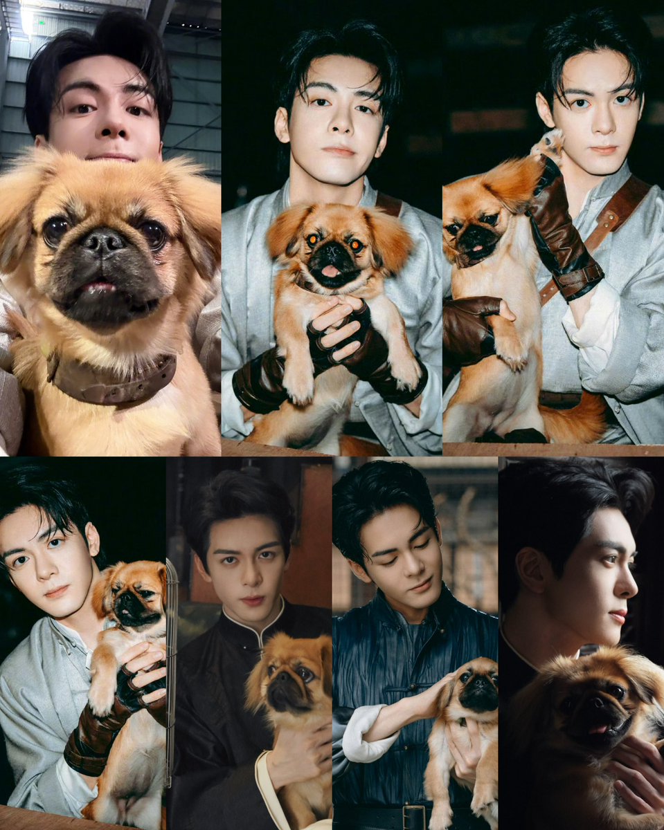 ManoodTingJeen's tweet photo. อู๋เหลาโก่ว กับน้อนหมาของเขา 🐶 

คนที่น่าอิจฉาที่สุด คงเป็นน้อนหมานี่แหละ 🤣 https://t.co/vM931zTZsg