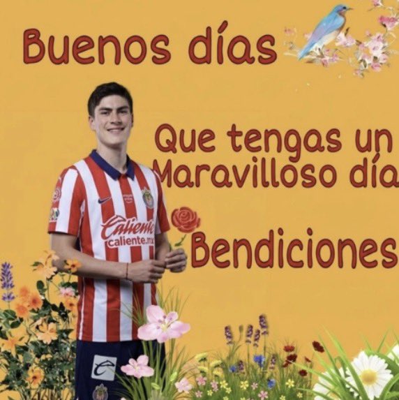 wnteerbear's tweet photo. @rmcf1989 buenos días nini 😽 https://t.co/EbRiJpxHvx