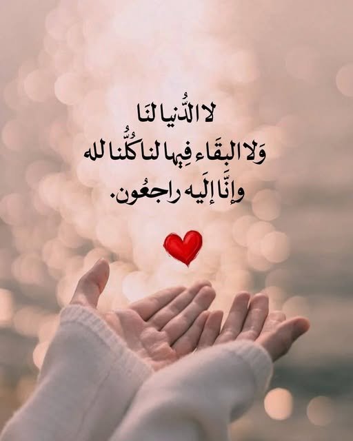 شــمـوخ❥🦋💙 tweet media