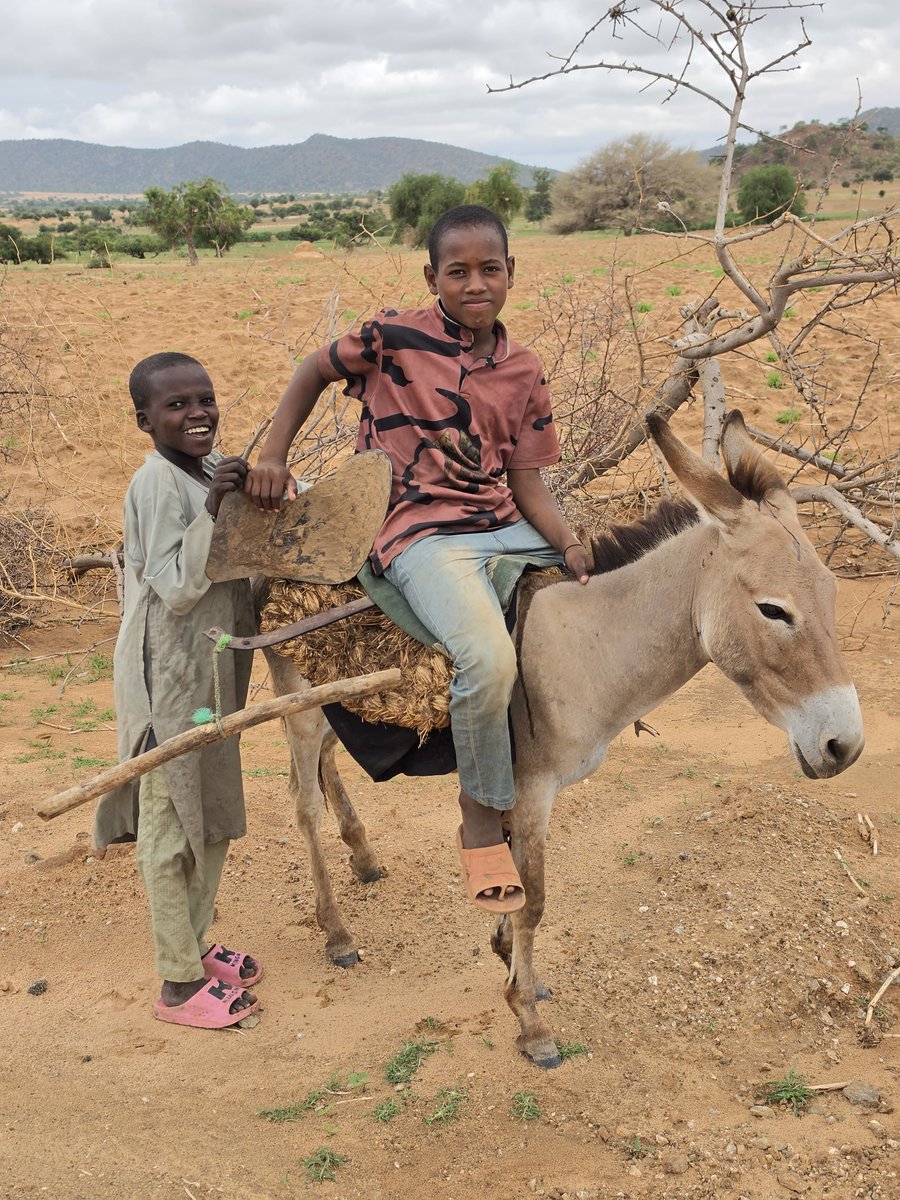 Almardi93's tweet photo. À Doroti et à Zabout, les femmes et les enfants constituent la principale main-d’œuvre des activités agricoles. Ces localités de la province du Sila font face à un important afflux de réfugiés soudanais, une situation qui accentue la pression sur les terres cultivables. #Tchad https://t.co/sasz8ZrhmF
