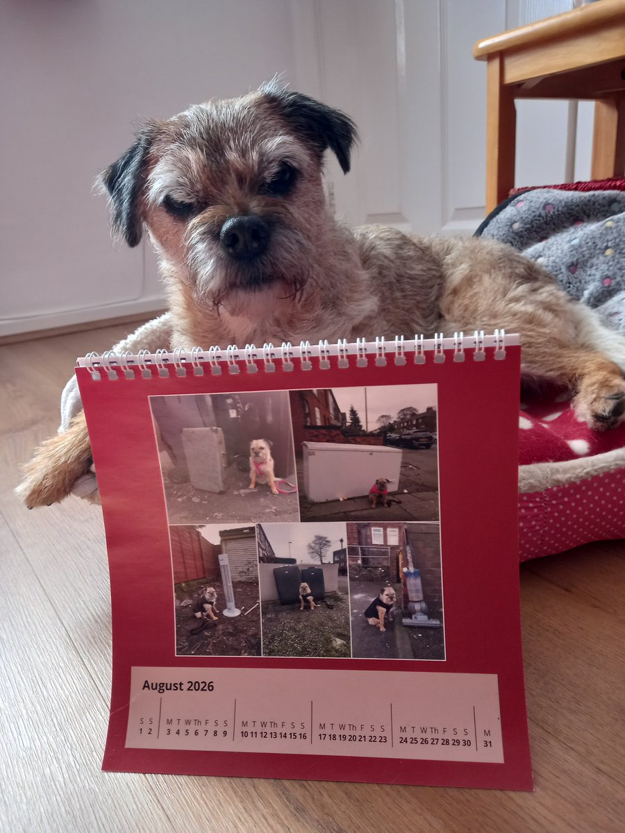 steelygreyste's tweet photo. Heidi just letting you know its time to turn over her #randomshit calendar to checkout what she foumd last August. Keep an eye put for new finds from #Prestwich https://t.co/A17yJ7hkNK