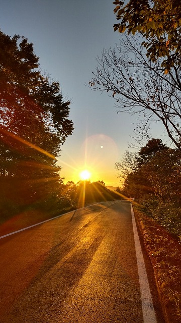 DelilahRamdml's tweet photo. うわ、暑すぎて外に出る気になれん。パート先のスーパーはエアコン効きすぎて逆に寒いし、家ではゲームのせいで目が疲れるし、はあ、夏なのにどこにも行きたくないな https://t.co/bKYgxJOL5r