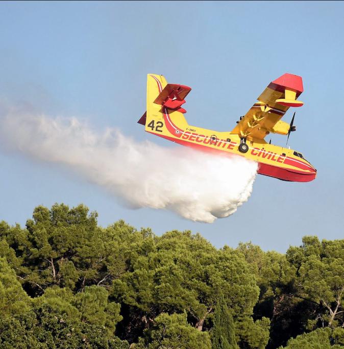 ElGrandeG7's tweet photo. Oh les pastèques de malade il faut au moins 3 Canadair pour éteindre mon slibard https://t.co/QkFEDMhQgV