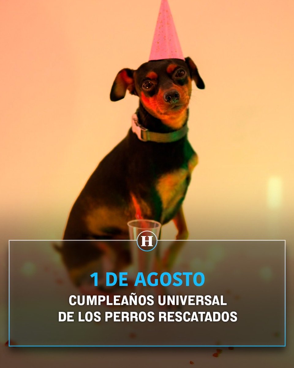 heraldodemexico's tweet photo. El 1 de agosto se celebra el cumpleaños universal de los perros rescatados o adoptados, aquellos que viven en un refugio. Este día especial se creó para honrarlos. 🐶

La fecha de nacimiento de un perro adoptado puede ser incierta, ya que los refugios o centros de rescate desconocen su historia personal, por ello, este día funciona para que todos los perros celebren su cumpleaños, aunque no sea el suyo. 🎂