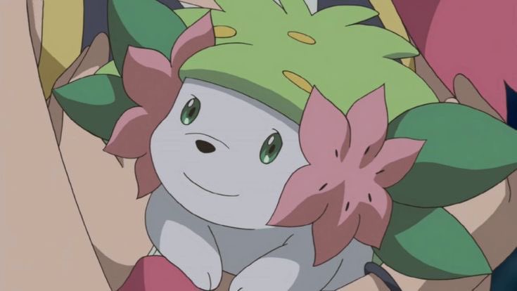 evasauriorex's tweet photo. mis 3 pokemon favoritos https://t.co/PFcEiJm1TA