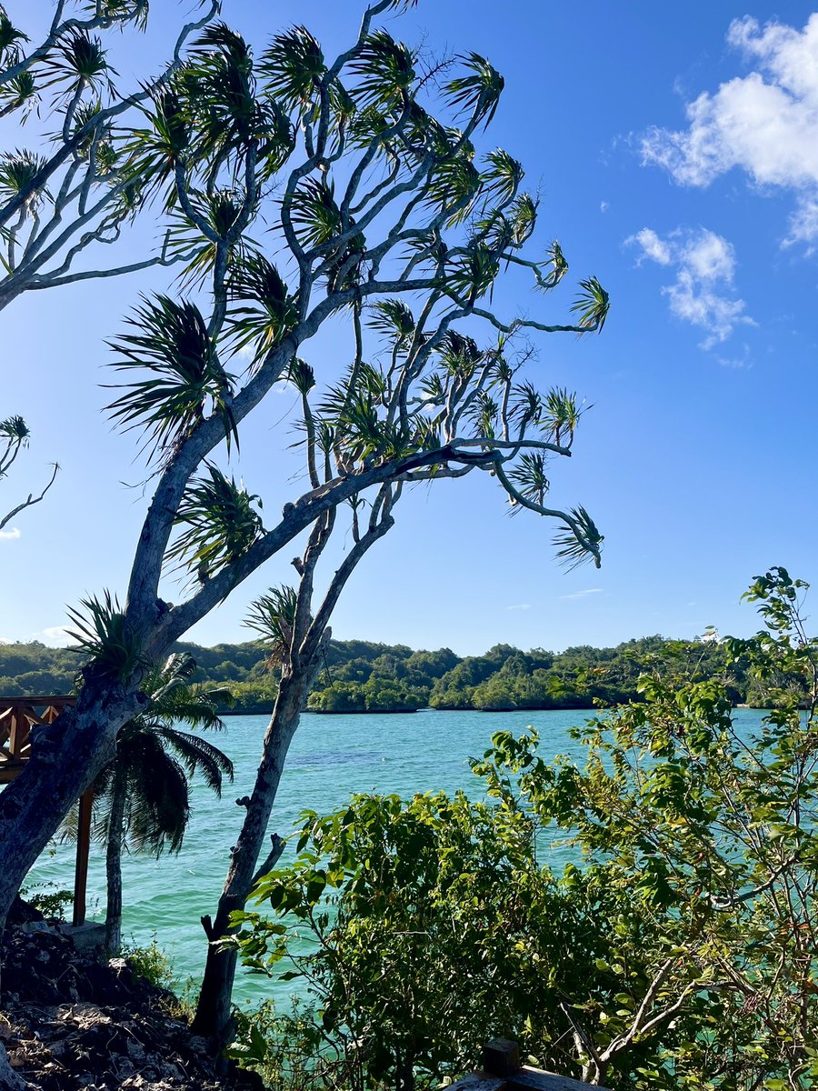 KKUMIKKU's tweet photo. 🌴🥥⛵️🍋 liburan kecil dari kkn :D https://t.co/eKAtG6Rm3r