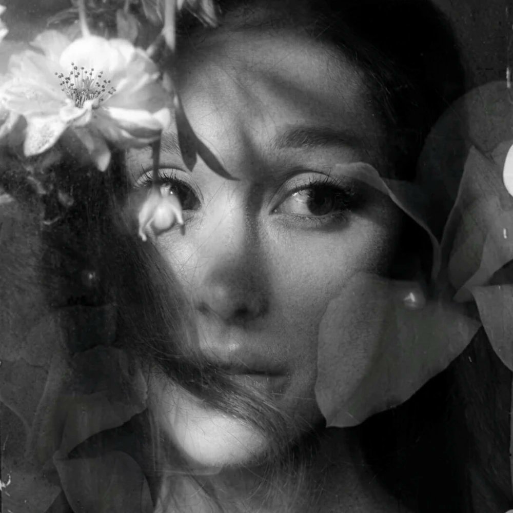 AGDailyData's tweet photo. Spotify Global:

#1. “petal” — 7,822,894
#2. “hate that i made you love me” — 7,685,008
#3. “kiss me” — 6,256,639
#5. “stay” — 5,297,903
#6. “oh well” — 5,198,225
#7. “big feelings” — 4,821,310
#8. “like i do” — 4,772,203
#9. “freak” — 4,566,216
#10. “never get over me” — 4,156,908
#12. “bad thing (bunny hop)” — 4,010,155
#13. “warning signs (interlude)” — 3,982,011
#15. “nowhere, nobody” — 3,624,597

Total — 62,194,069 streams